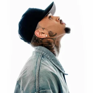 Chris Brown pede redução de pena para presos que combateram incêndios em Los Angeles